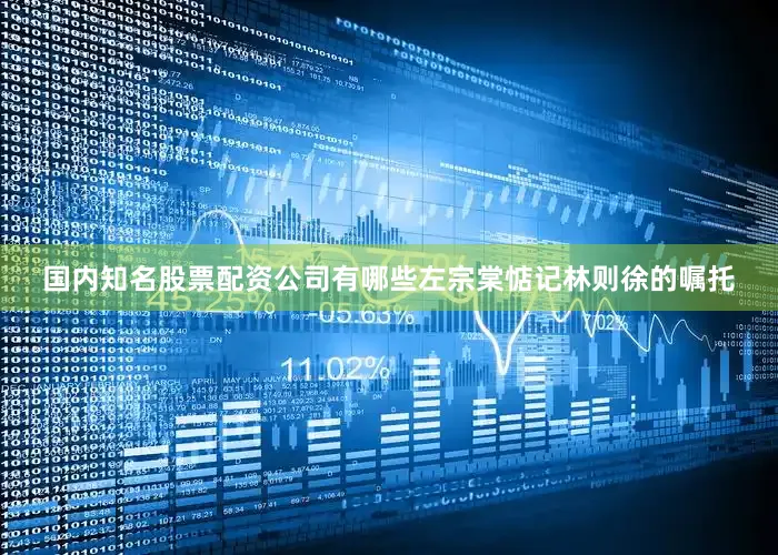 国内知名股票配资公司有哪些左宗棠惦记林则徐的嘱托