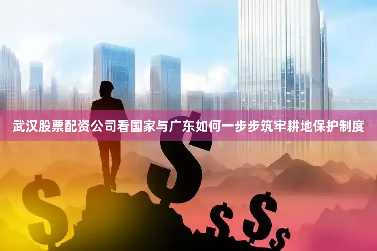 武汉股票配资公司看国家与广东如何一步步筑牢耕地保护制度